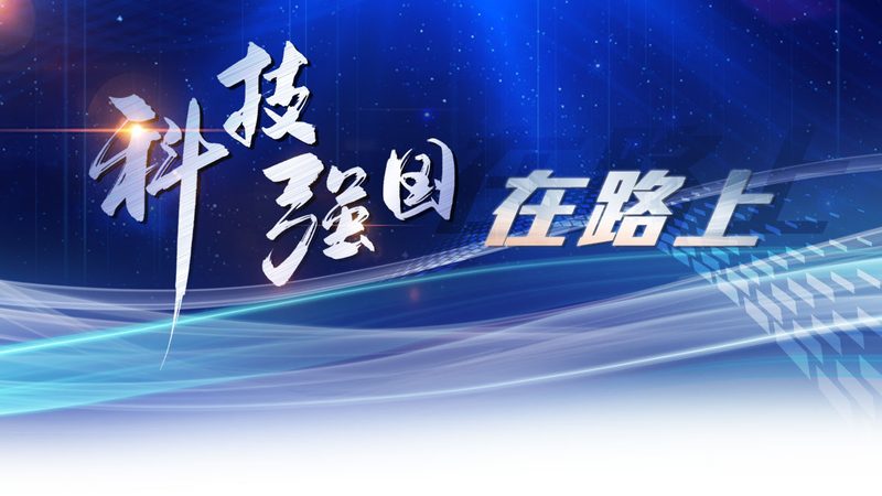 解码互联网技术：教学视频精选指南